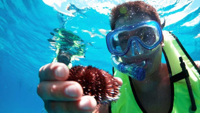 a beautiful way to enjoy the waters off hawaii island hawaii nautical