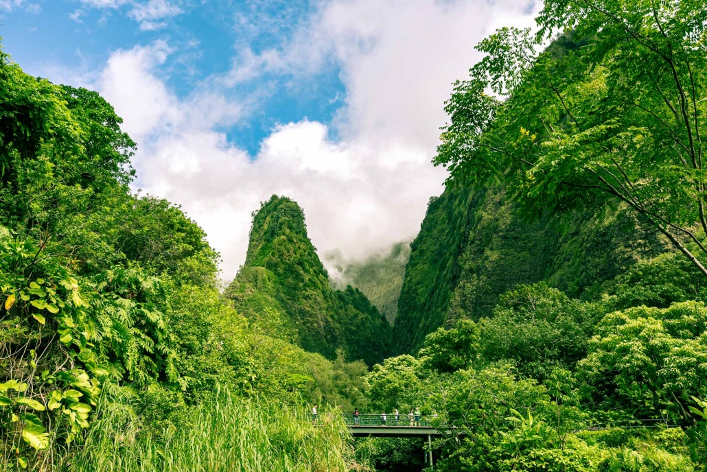 a journey through lush green kukui nut trees in iao valley maui