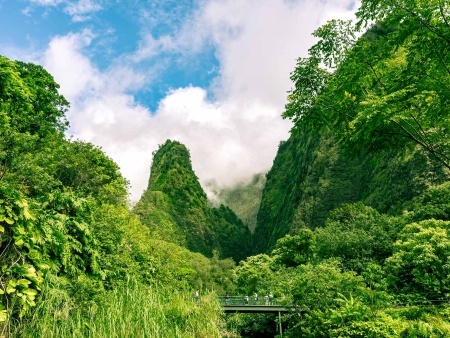 a journey through lush green kukui nut trees in iao valley maui