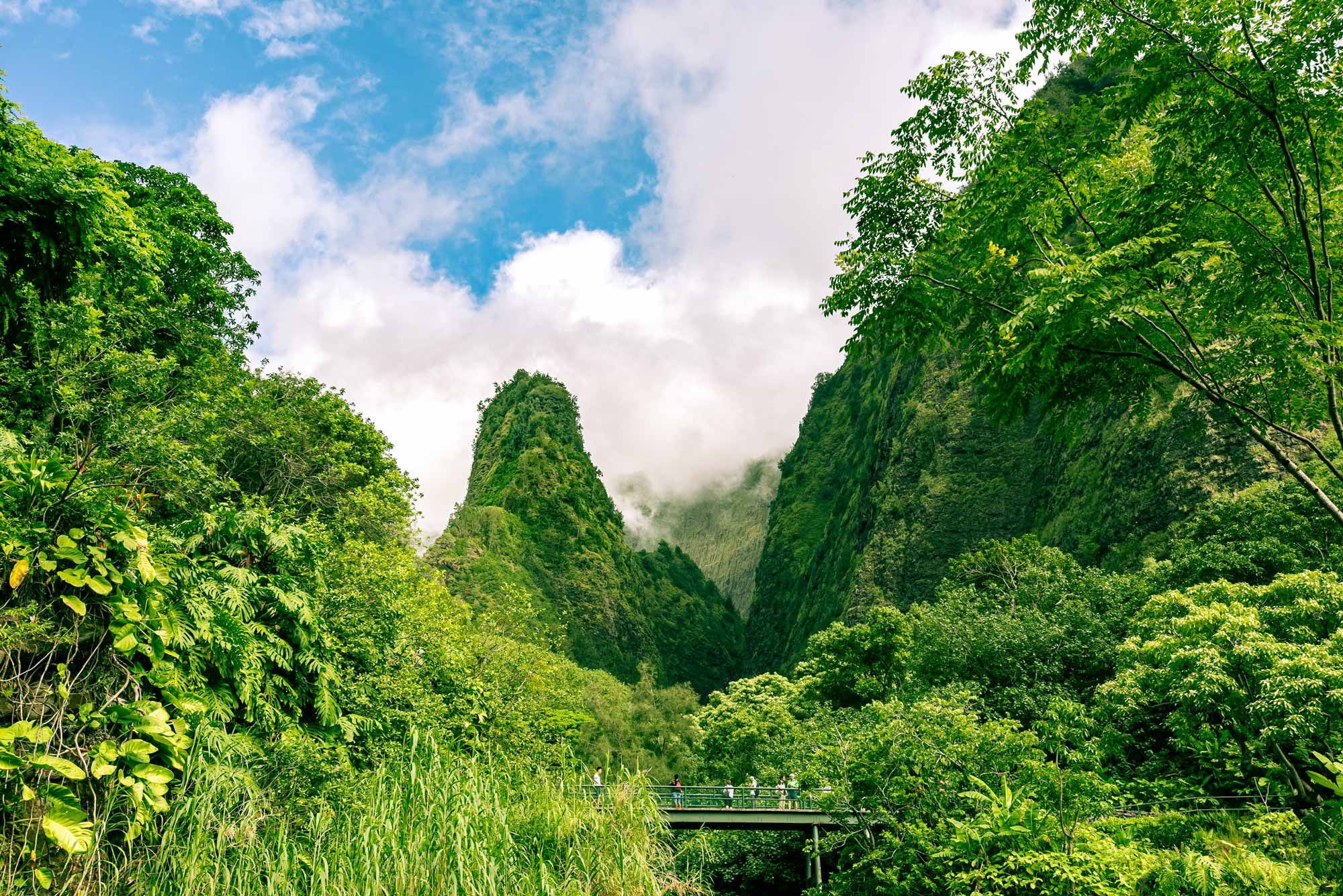 a journey through lush green kukui nut trees in iao valley maui