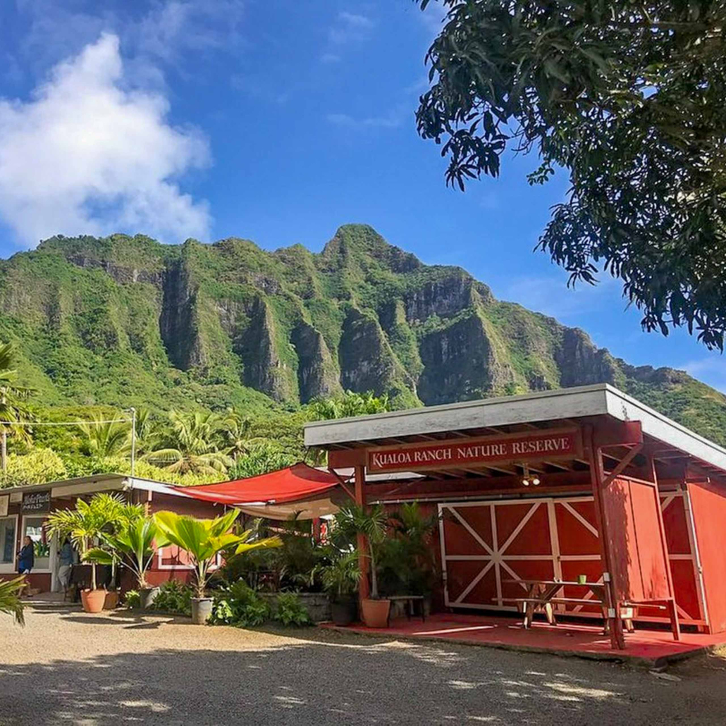 Alohahawaiitours Oahu North Shore Adventure Tour Farm