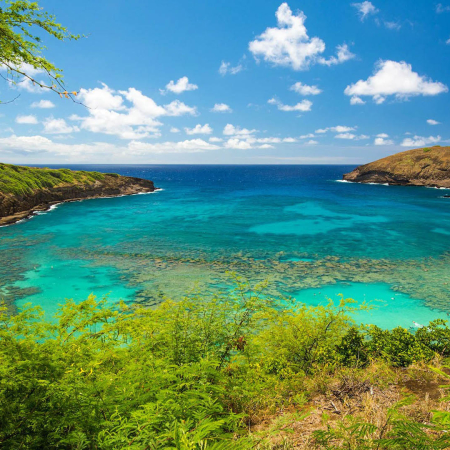 Beautiful Colors Of Hawaii Photo Tour Oahu Photo Graphy Tours Product