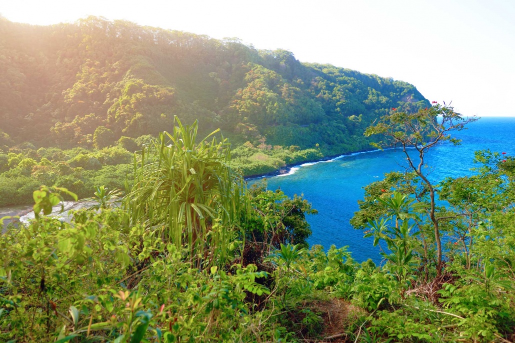 beautiful views of maui north coast seen from famous winding road to hana