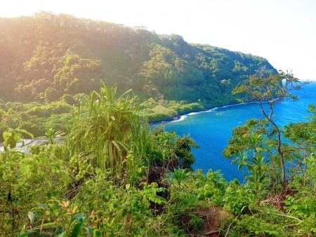 beautiful views of maui north coast seen from famous winding road to hana