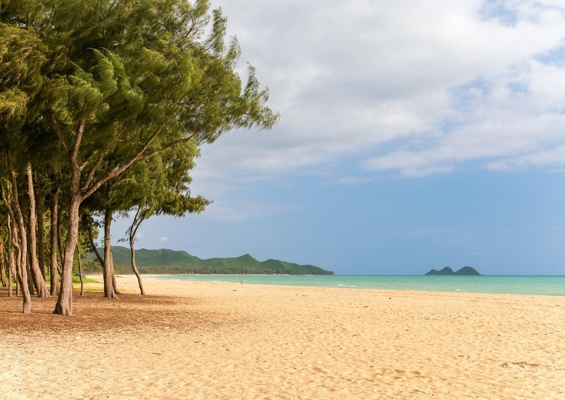 Bluehawaiiphototours Oahu Island Photo Tour Slider Beach