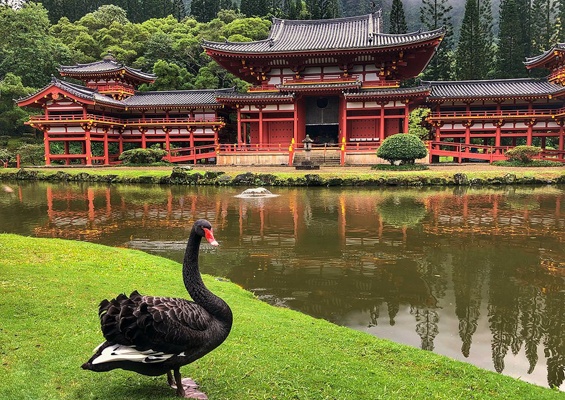 Bluehawaiiphototours Oahu Island Photo Tour Slider Byodo