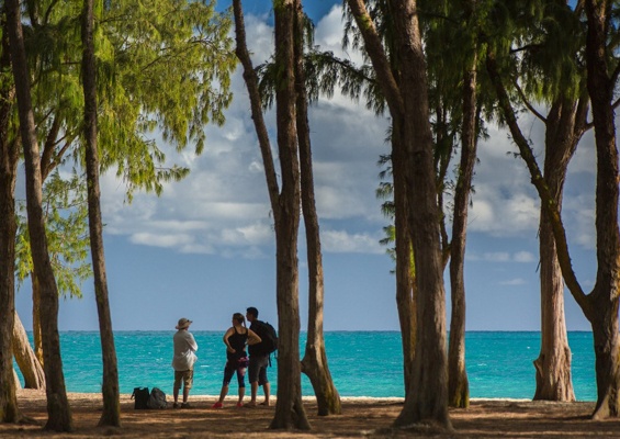 Bluehawaiiphototours Oahu Island Photo Tour Slider Guest Chilling