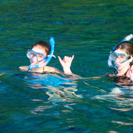 Captain Cook Pm Snorkel Adventure Dolphin Discoveries Big Island