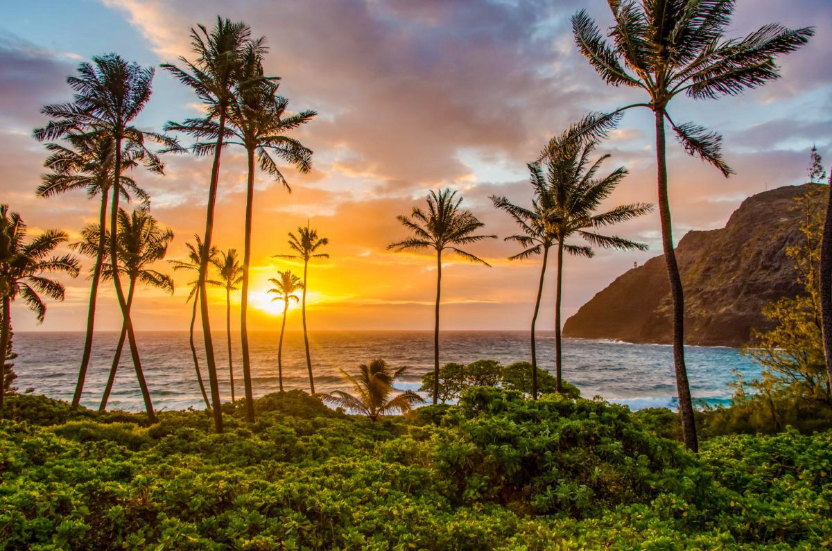 circle-island-sunrise-full-day-adventure-oahu-photography-tours-pic oahu circle island sunrise fully day