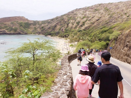 hanauma bay family snorkeling tours
