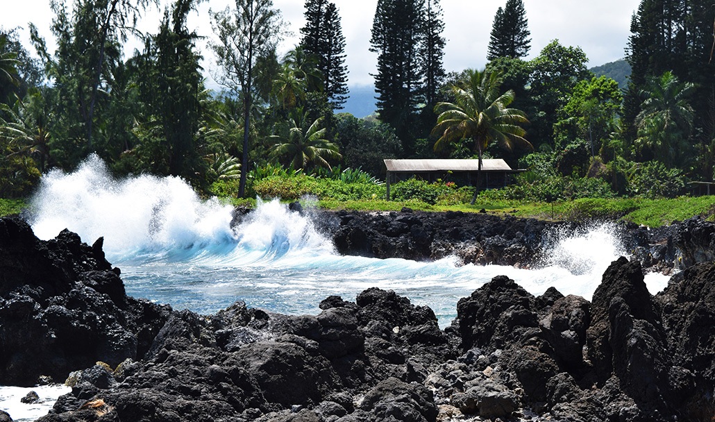 Hana Tours of Maui Group Circle Island Hana Tour Balck Sand Beach Hana Tours of Maui Group Circle Island Hana Tour Balck Sand Beach