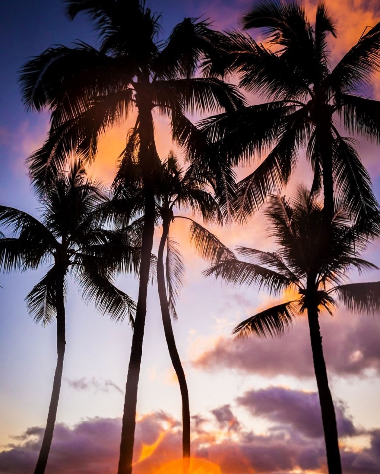 hawaii night sky glass bottom boats oahu sunset tour
