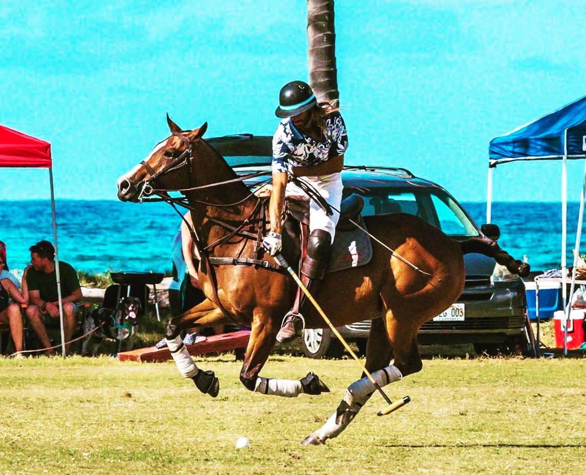 oahu horseback riding lessons