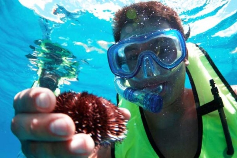 hawaii_nautical_waikoloa_snorkel_sail_with_lunch_feature_4