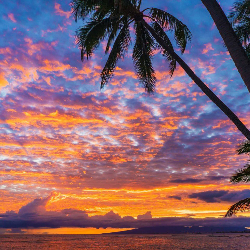 Hawaiiglassbottomboat Sunset Cruise Off Waikiki Pinky Sky