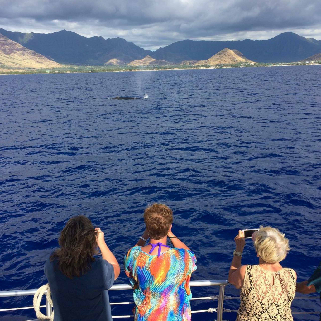 Hawaiinautical Old Ladies Watching Dolphin