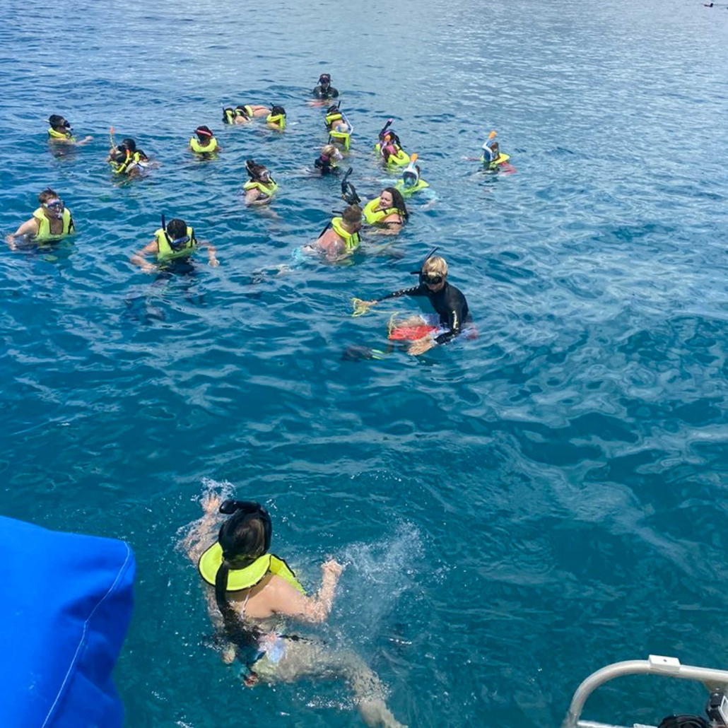 Hawaiinautical West Dolphin Watch And Snorkel Sail Guests Snorkeling