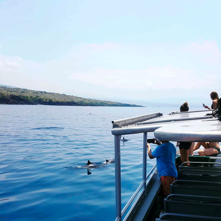 Hawaiinautical West Dolphin Watch And Snorkel Sail Guests Watching Dolphins