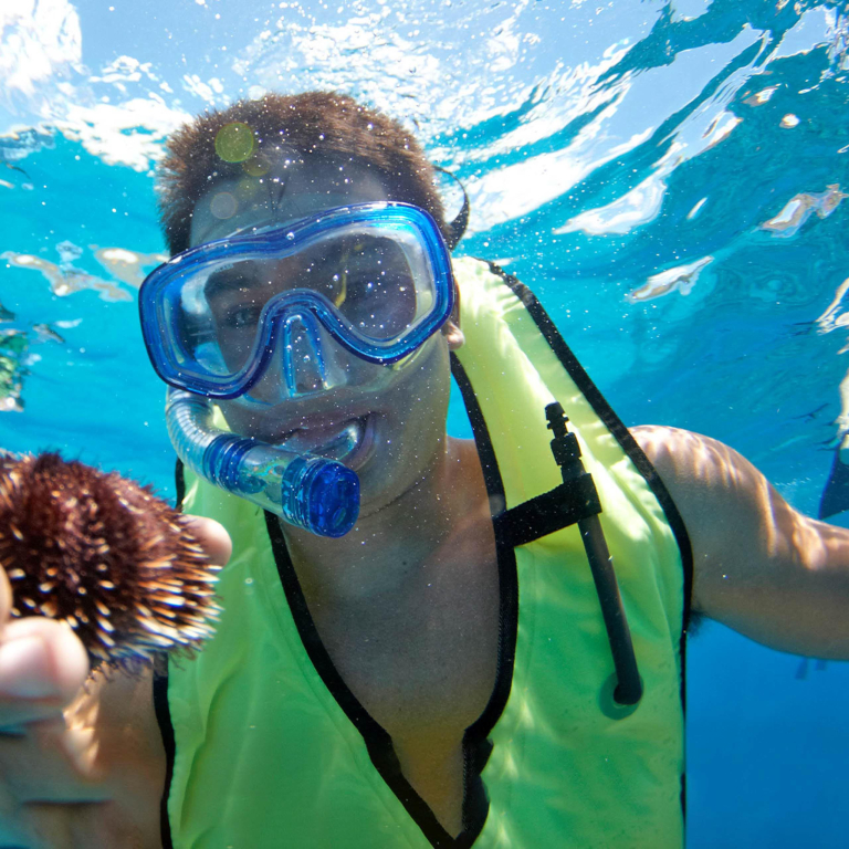Hawaiinautical West Oahu Playground Snorkel Tour Catch Ocean Creature 
