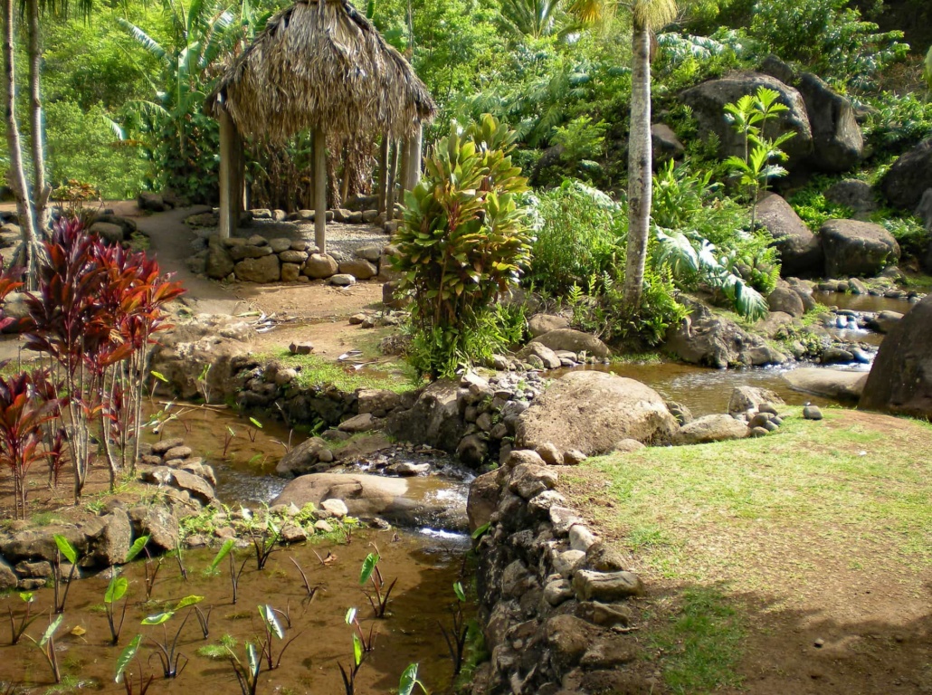 Holo Holo Maui Tours Private Excursion to Iao Valley