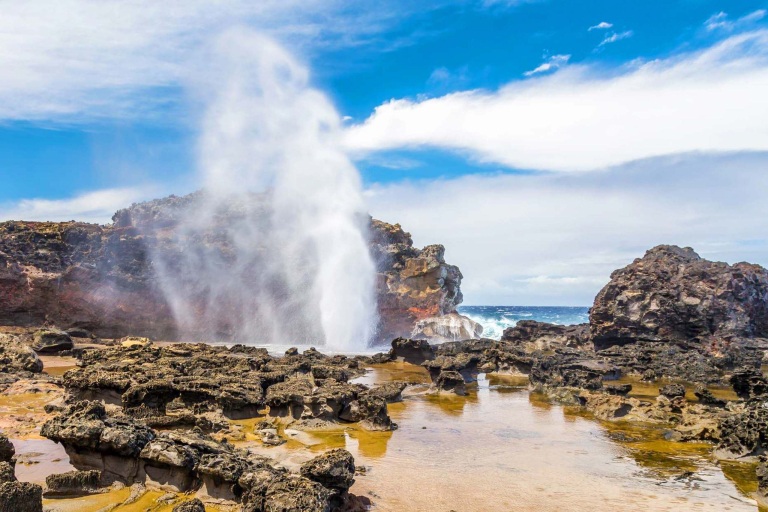 Holo Holo Maui Tours West Maui Adventure Beautiful Coast 