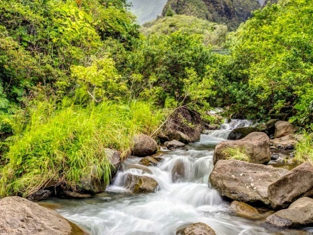 holo holo maui tours west maui adventure tour beautiful river