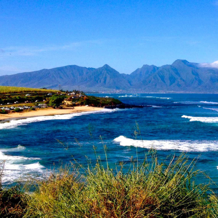 Holoholomauitours Private West Maui Sightseeing