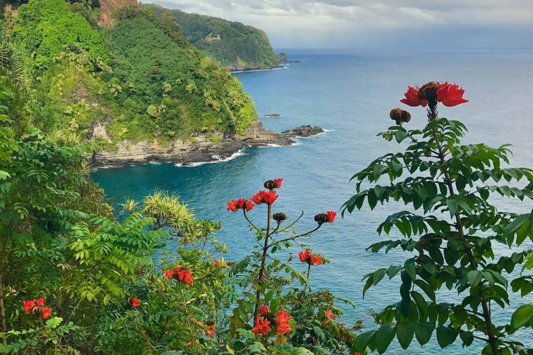 Holoholomauitours Private West Maui Sightseeing Time That Works 
