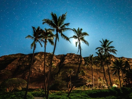 honolulu night sky light painting