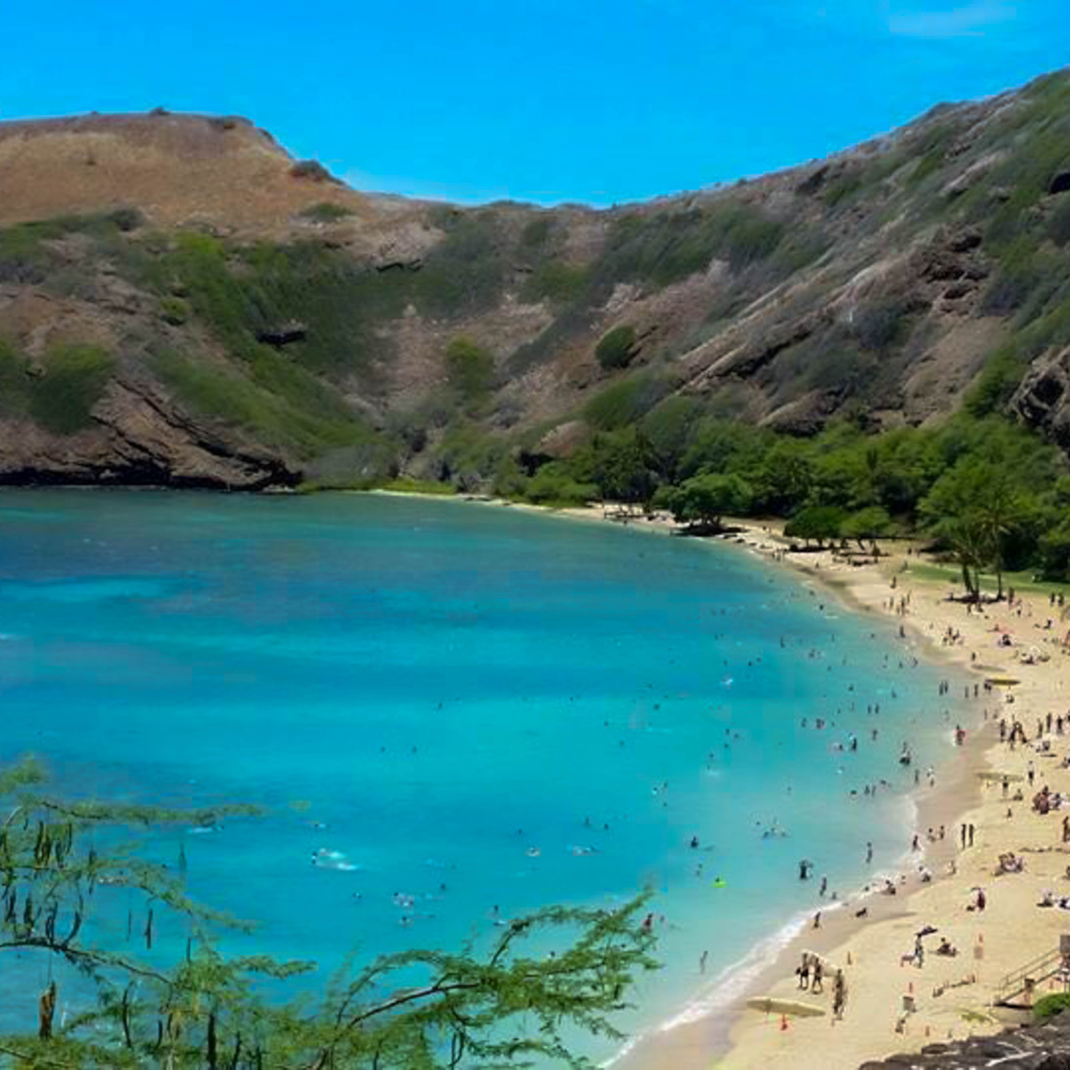 Hanauma Bay Snorkel Shuttle & Gear Premier Maui Activities