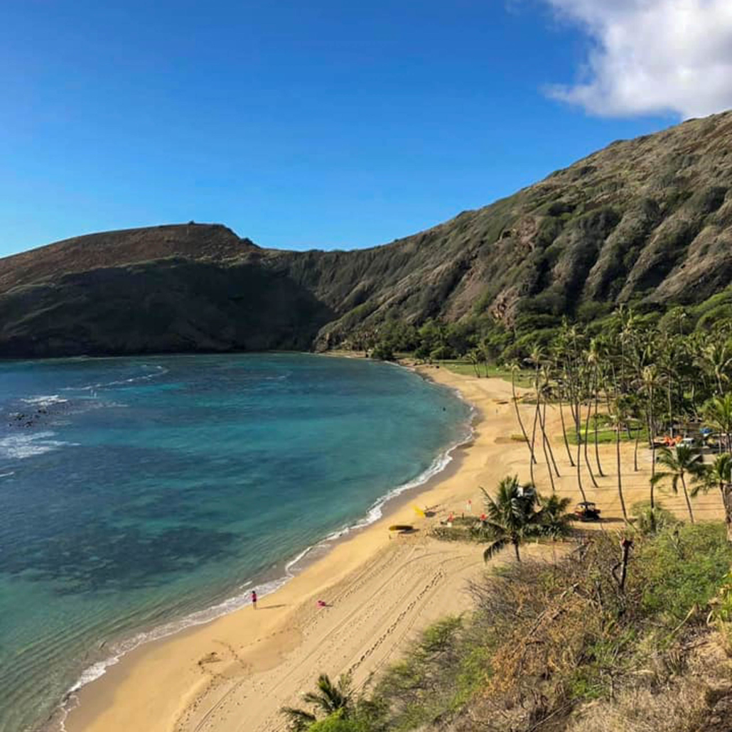 Kaimanatours Hanauma Bay Shuttle And Snorkel Gear Rental Beautiful Shore Line