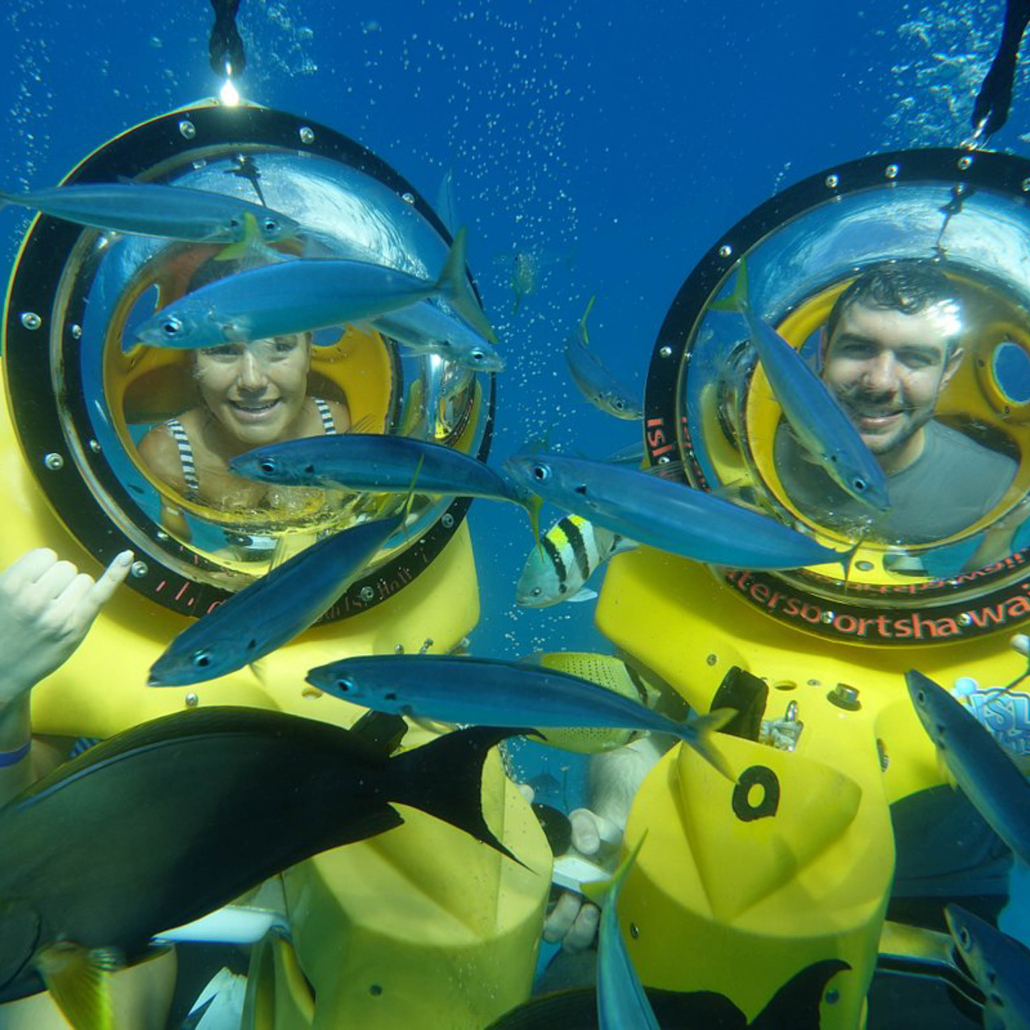 Kaimanatours Hanauma Bay Shuttle And Snorkel Gear Rental Great Experience