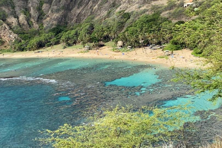 Kaimanatours Hanauma Bay Shuttle And Snorkel Gear Rental Marine Sanctuary