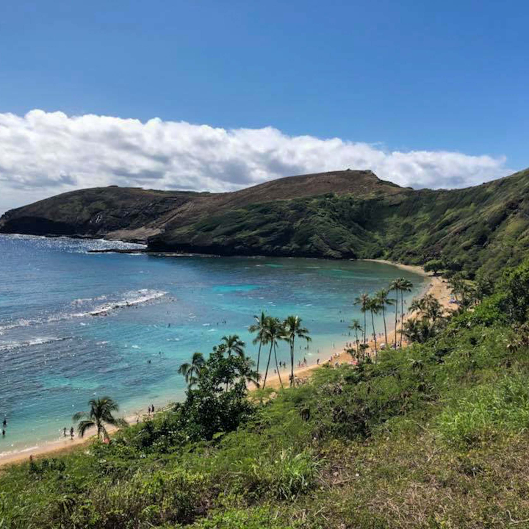 Hanauma Bay Snorkel Shuttle & Gear Premier Maui Activities