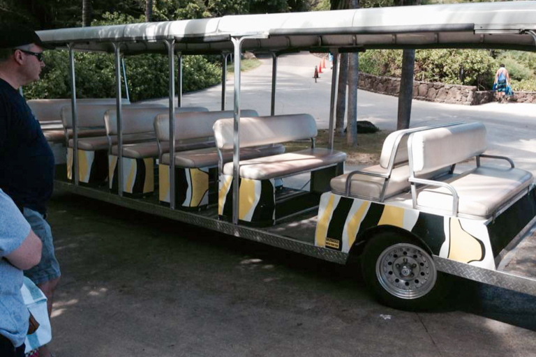 Kaimanatoursllc Shuttle For Diamond Head Crater And Self Guided Hike Vehicle
