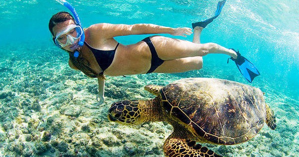 kayak-and-turtle-reef-snorkel-at-olowalu-maui-adventure-tours-pic turtle reef snorkeling