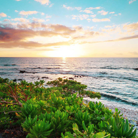 Kohala Coast Waikoloa Big Island