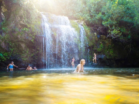 Kohala Zip and Dip Tour Pic