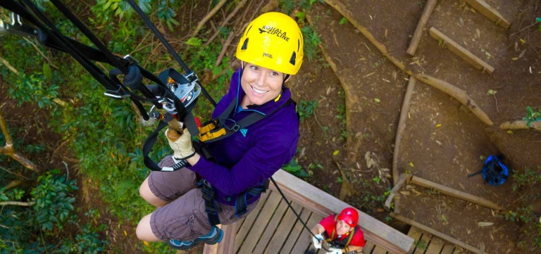 kohala zip dip zipline over the jungle canopy