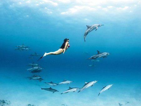 maui freediving maui spearfishing header
