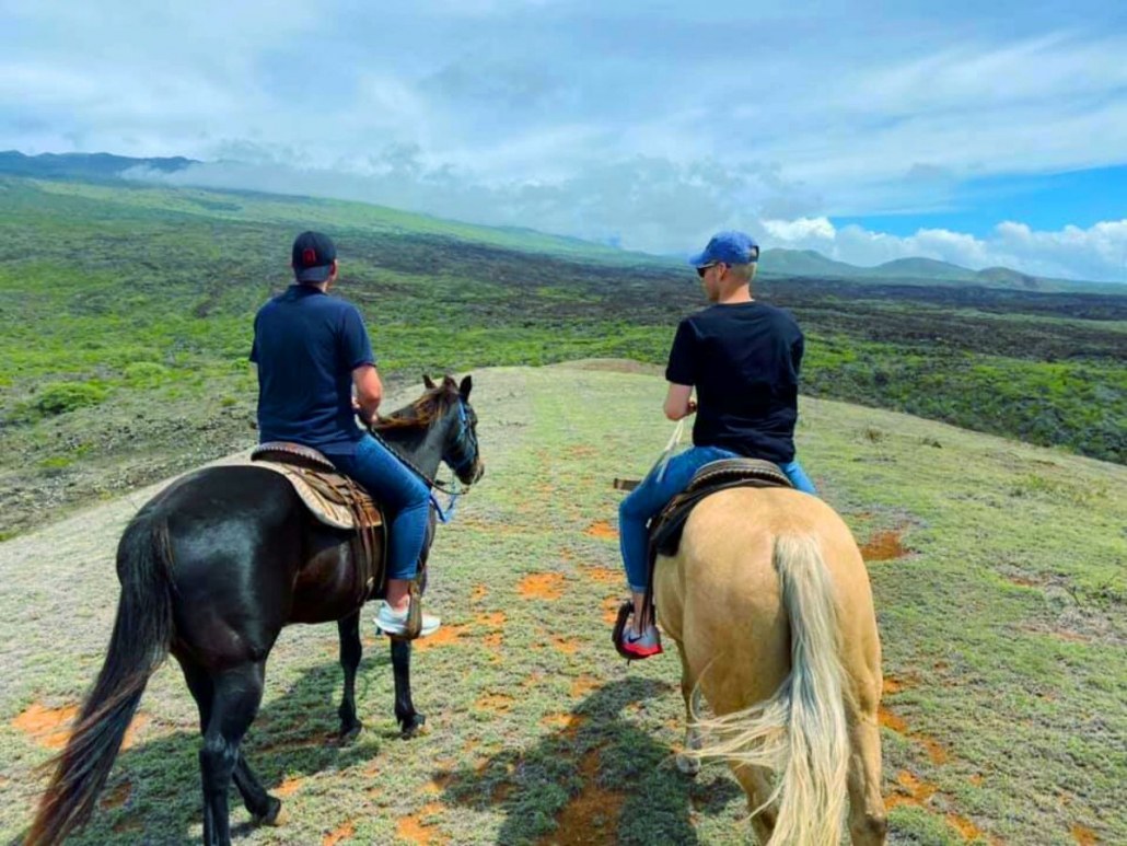 maui picnic ride funny riding horse with friend