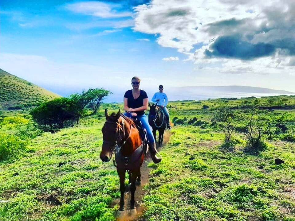 maui picnic ride riding horse accommodate riders of all levels