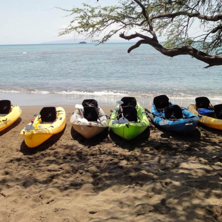 Mauiadventuretours Olowalu Kay Turtle Reef Snorkel Product