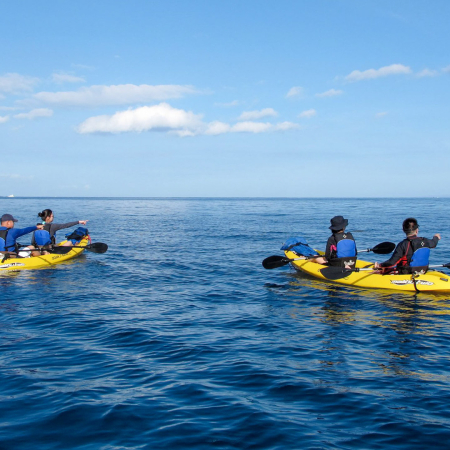 Mauiecotours Large Group Makena Kayak