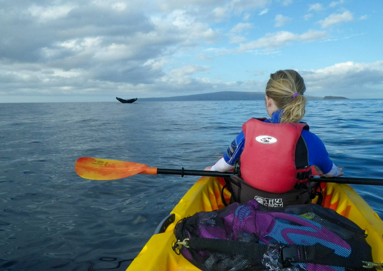 Mauiecotours Large Group Makena Kayak Slide Kid