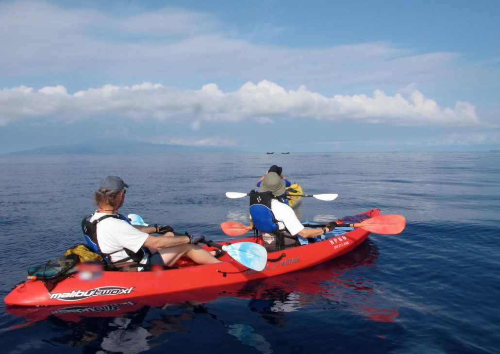 Mauiecotours West Maui Kayak And Snorkel Discovery Slide Group