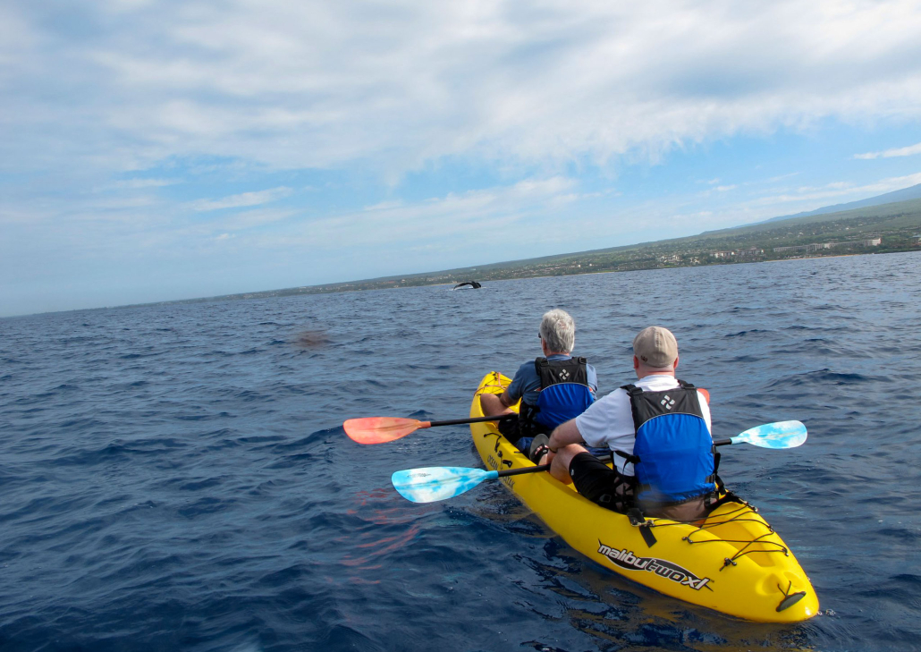 Mauiecotours West Maui Kayak And Snorkel Discovery Slide Guests