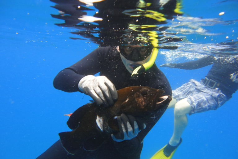 Mauispearfishing Maui Spearfishing Catch Peacock Grouper