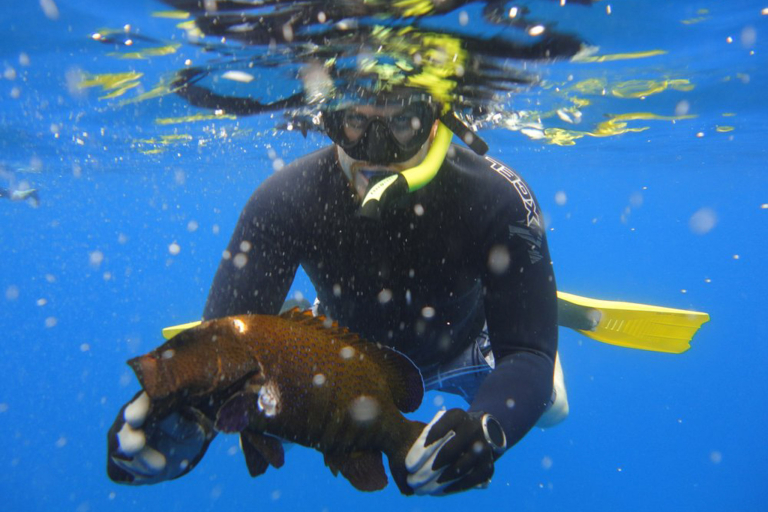 Mauispearfishing Maui Spearfishing Invasion Peacock Grouper