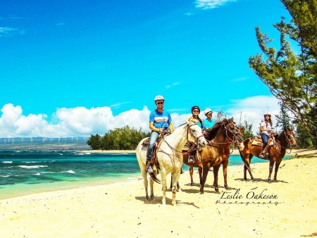 Groups at Oahu Horseback Rides